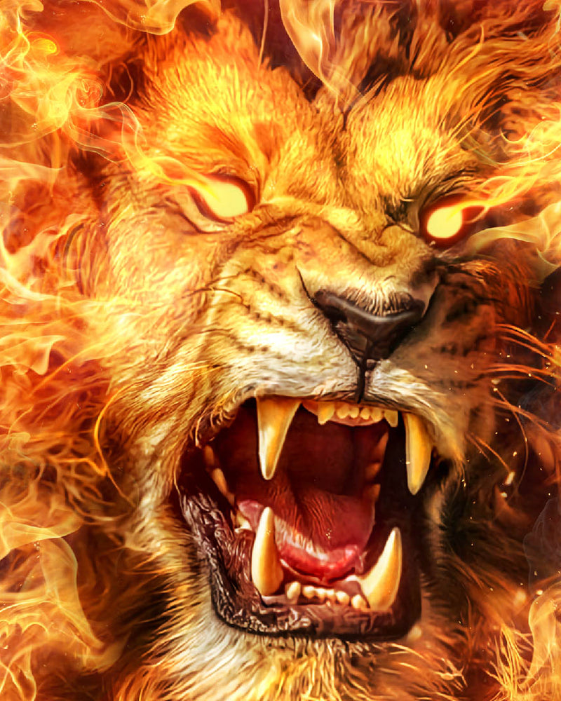 Fiery Lion