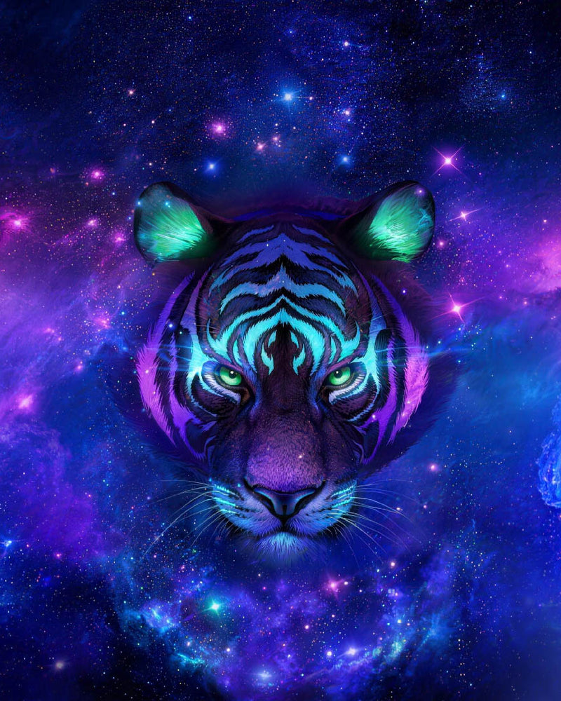 Galaxy Tiger