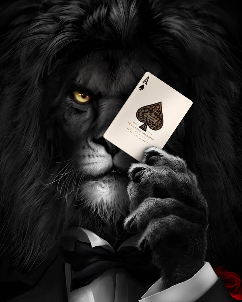 Lion in Tuxedo