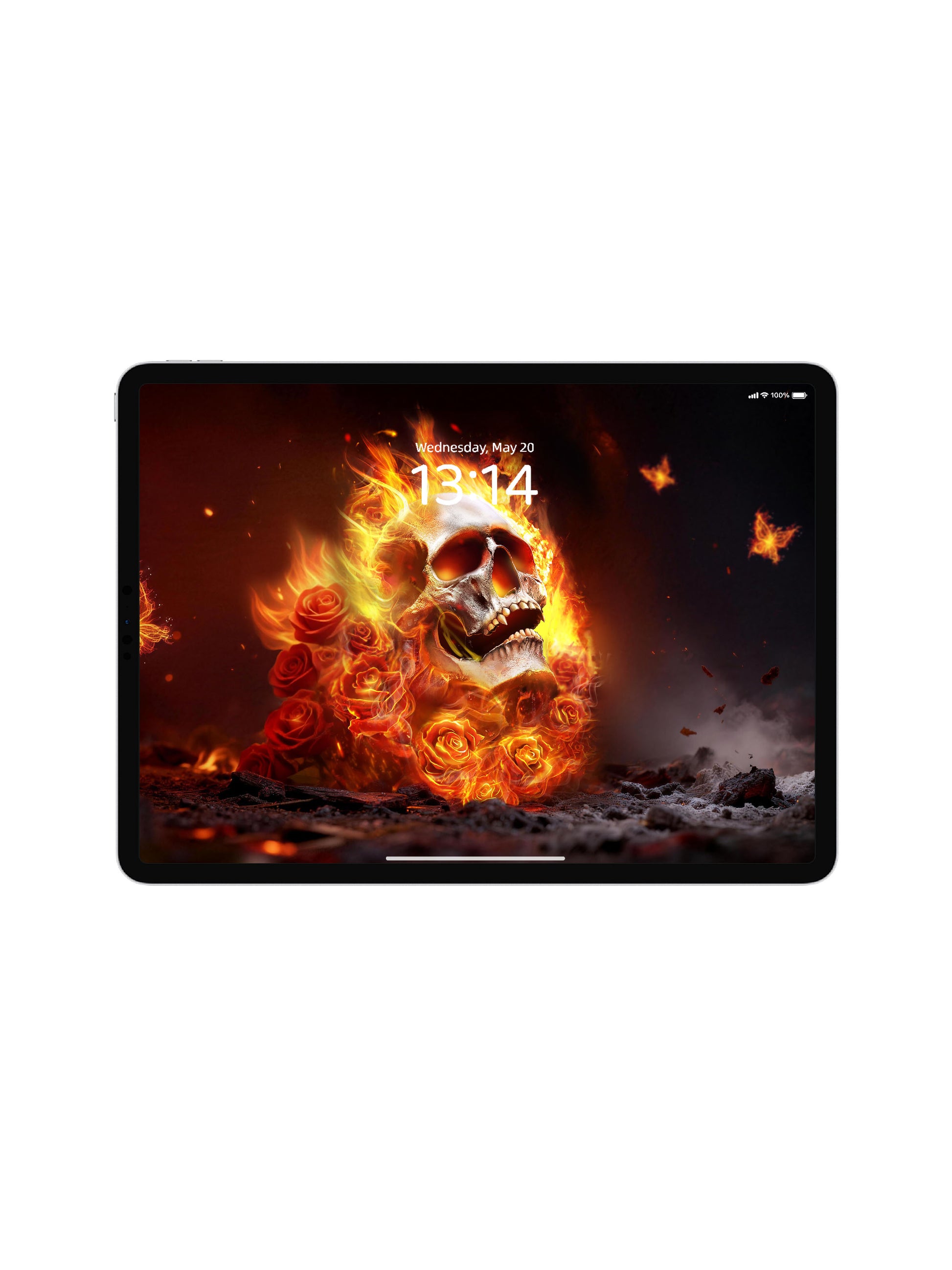 Blazing Fire Rose Skull Digital Wallpaper