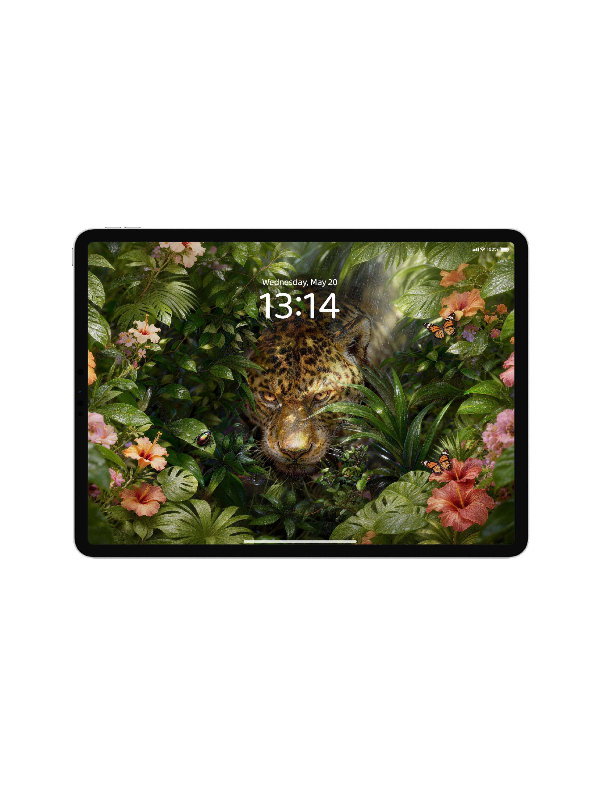 Dense Forest Hidden Leopard Digital Wallpaper