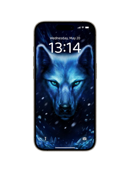 Arctic Wolf Stare Phone Wallpaper