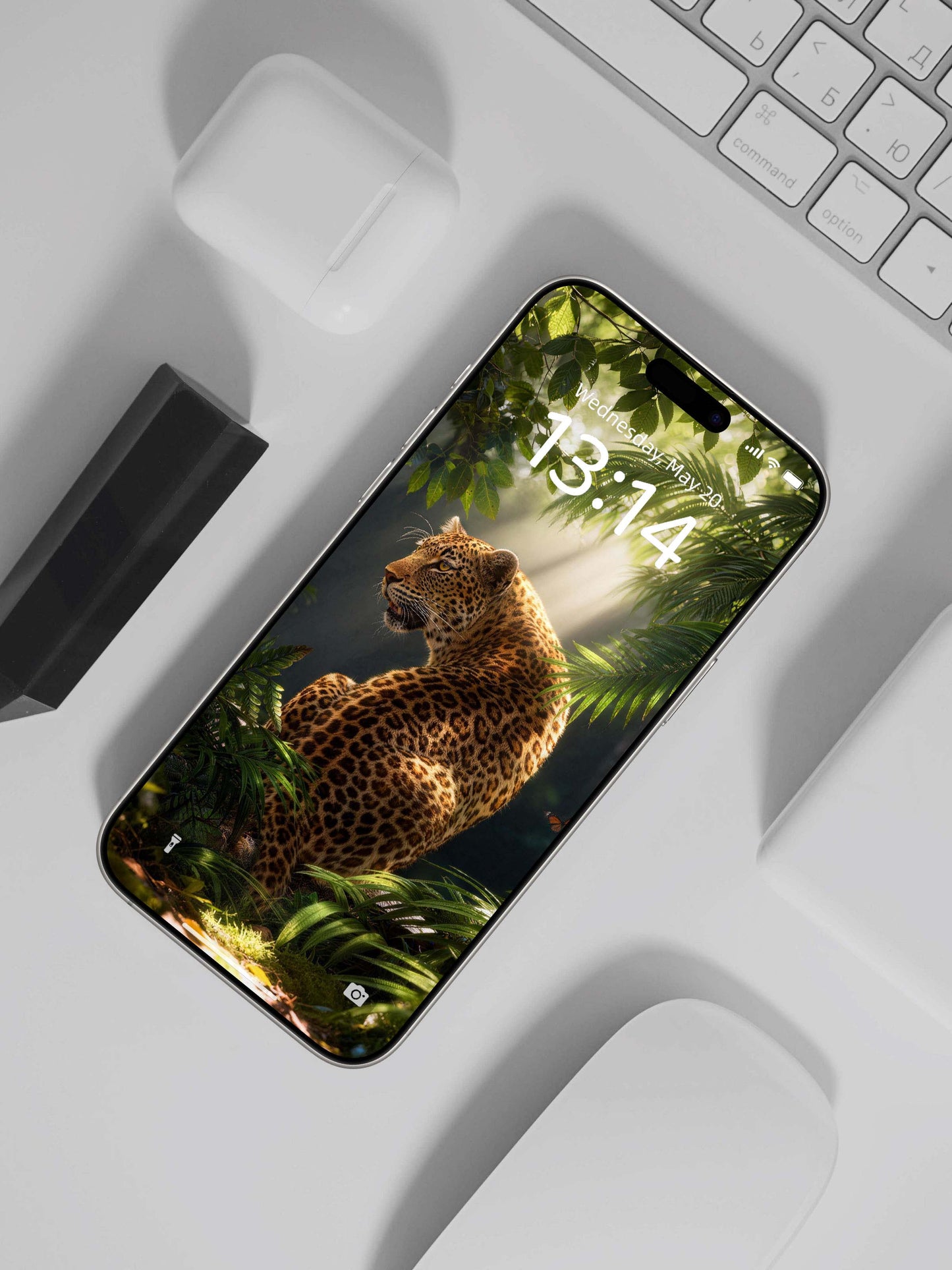 Sunlit Rainforest Turning Leopard Digital Wallpaper