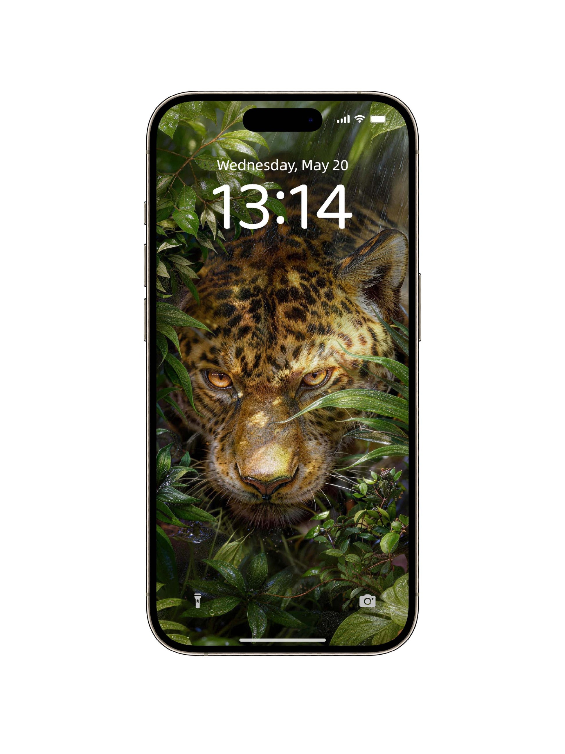 Dense Forest Hidden Leopard Digital Wallpaper